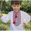 Вишиванка на хлопчика Максим з червоно-чорною вишивкою 